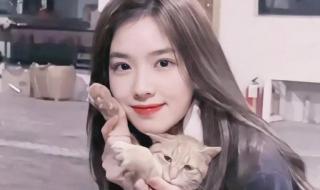 想你的夜王思聪 想你的夜王思聪