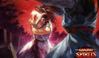 侍魂零出招表大全