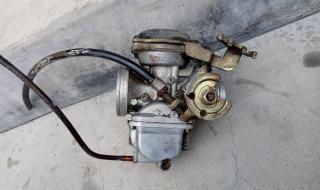 轻骑藏獒3代 轻骑藏獒3代