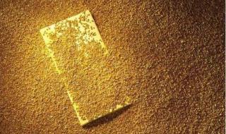 鲜花绽放的色泽 鲜花绽放的色泽