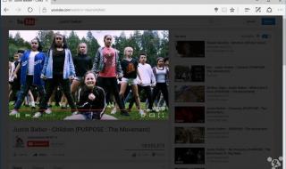 浏览器插件 浏览器插件