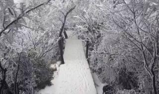 最后一场雪 最后一场雪