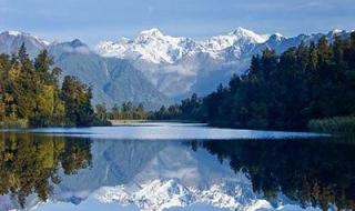 新西兰乳业 新西兰乳业