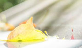 lol1金币头像 lol1金币头像