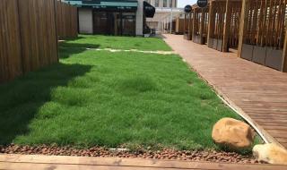 建筑陶粒价格是多少钱 建筑陶粒价格是多少钱