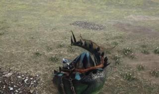 什么龙能秒杀霸王龙 什么龙能秒杀霸王龙