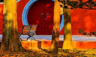 霞光城上层冥想位置