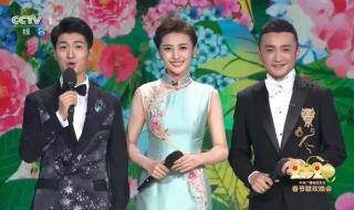 春晚主持人2022名单 春晚主持人2022名单