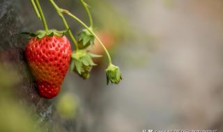北京郊区好玩的地方 北京郊区好玩的地方
