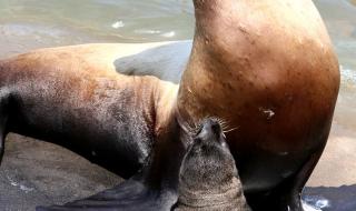 西霞口野生动物园