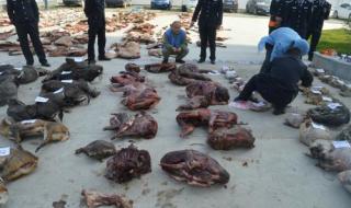 羊了个羊有什么规律 羊了个羊有什么规律