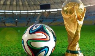 2022法国世界杯战绩表