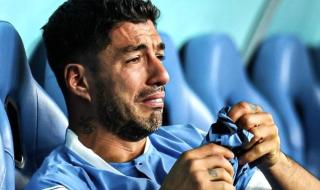 2022世界杯瑞士战绩